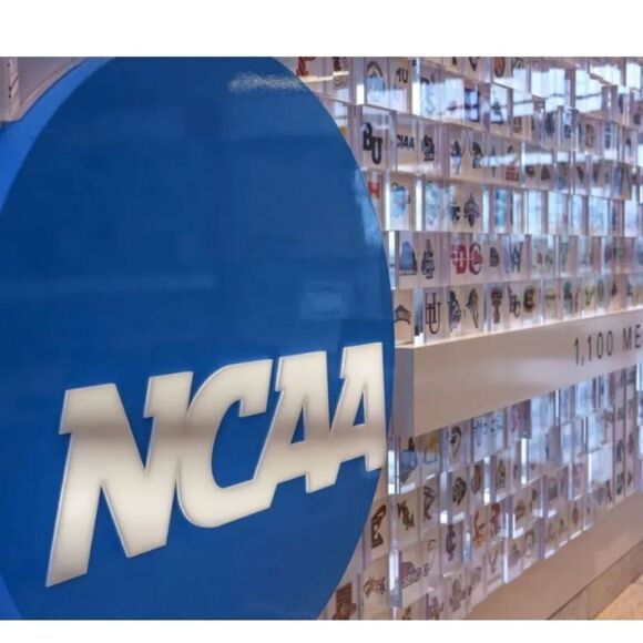 NEW East Tennessee State Buccaneers Double Sided Car Flag College Window Clip - Picture 4 of 5